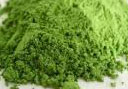 wheatgrass2