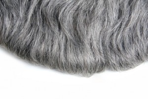 Grey Hair