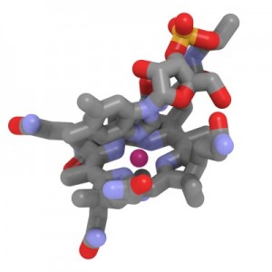 Vitamin B12