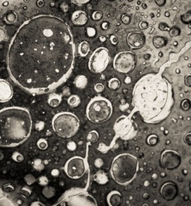 Cancer Cells