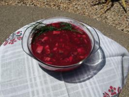 Raw Food Recipe: Russian Borsch