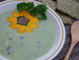Raw Food Recipe: Creamy Summer Squash Onion Soup