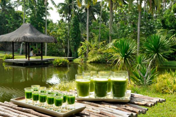 Raw Food Recipe: Green Juice