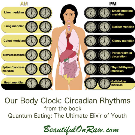 clock body shape