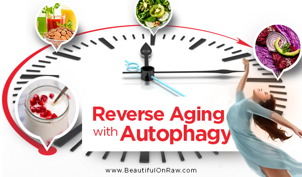 Reverse Aging with Autophagy