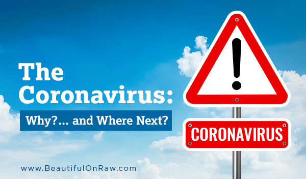 The Coronavirus: Why?... And Where Next?