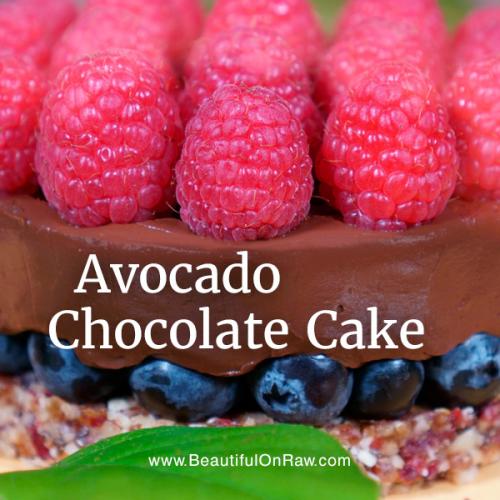 Avocado chocolate ice cream beautiful on raw